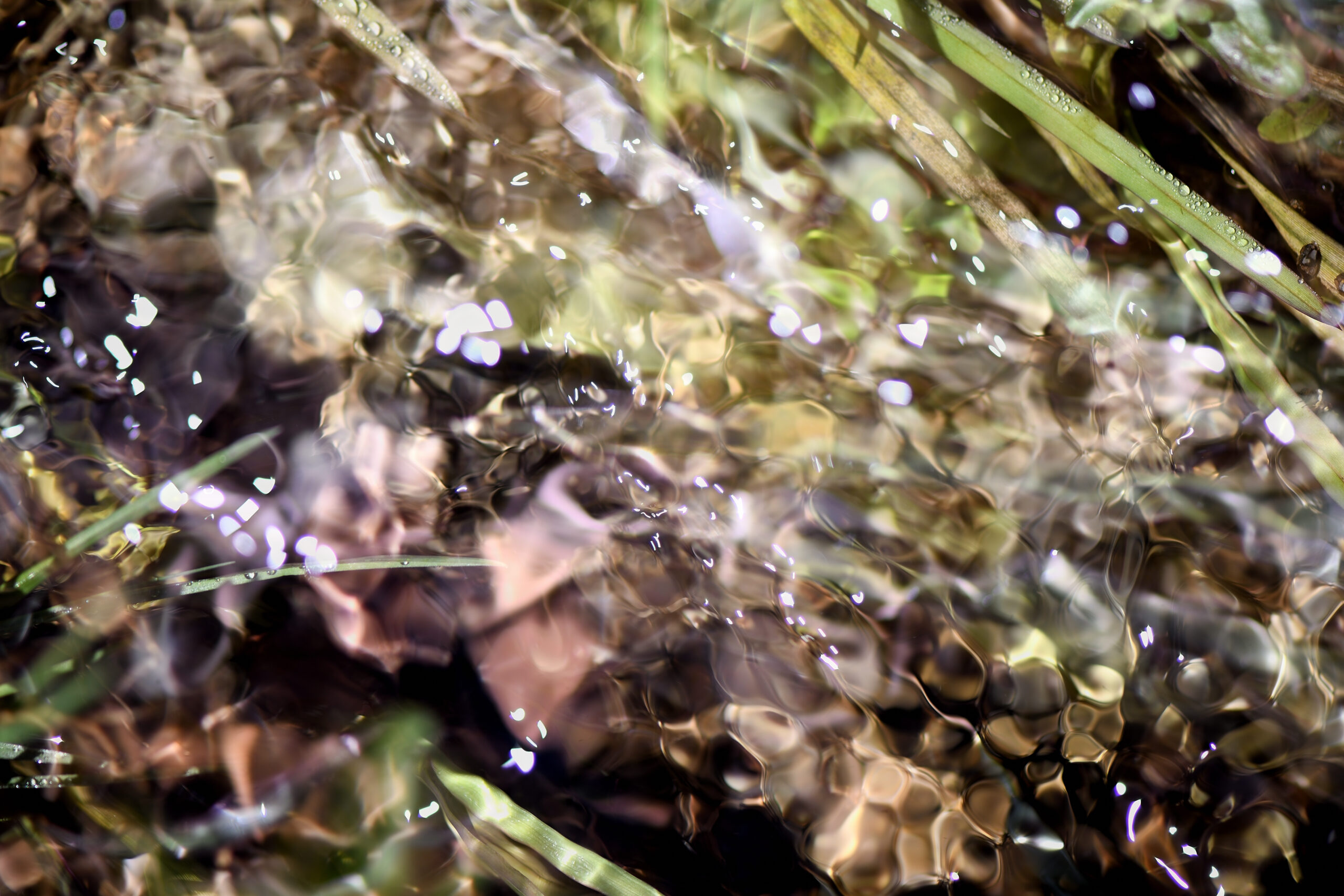 Publications académiques et thèses